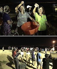 莒光古蹟節牽罟體驗最終回,軍民遊客兩路排開齊心將網拉回,參與活動的民眾大讚牽罟是最有溫度的體驗。(圖/文:蔡夢玲)