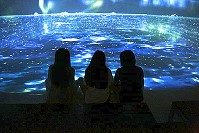 　馬祖藍眼淚生態館加開上午10時、11時2梯次遊程，敬請把握開放時間，提早預約，體驗如同電影般夢幻美景。（圖：承虹生物科技公司）