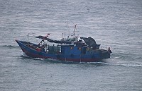強化近岸海洋保育,馬祖海巡取締地區籍僱用大陸漁工漁船近岸放網。(圖:馬祖海巡隊)