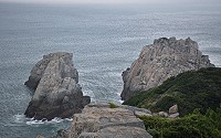 　今年到東引繁殖的黑尾鷗、白眉燕鷗已經飛離，在燕鷗保護區-雙子礁，已經看不到任何鷗鳥的蹤影。（圖／文：陳其敏） 