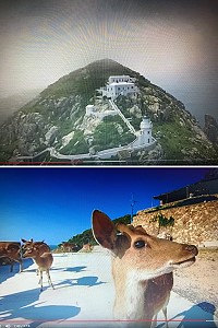 交通部觀光局完成的「踅(ㄒㄩㄝˊ)臺灣」360 VR微電影,馬祖東引燈塔及大坵島梅花鹿收錄其中。(圖:觀光局網站)