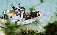 違法章魚籠連兩案!經巡邏人員於現場蒐證、錄影後,將「順○○」及「雙○○」漁船違法作業之事實,依違反漁業法第65條規定函送主管機關裁處。(圖:馬祖岸巡隊)