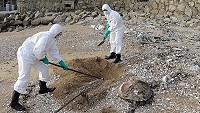疑似誤食塑膠,死亡海龜陳屍岸際,岸巡協助存證掩埋。(圖:馬祖岸巡隊)