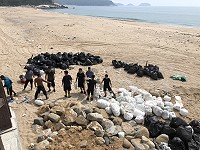 淨灘護家園（圖與文：陳鵬雄）