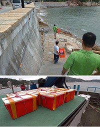 產發處原訂於東莒施放花蛤作業,因近日海象不佳,改於南竿澳口等地施放共200公斤花蛤。(圖:產發處)