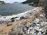 　逼到牆角。（圖／文：陳鵬雄）