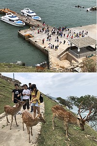 中秋連假大坵島出現大批遊客登島尋鹿。(圖/文:陳鵬雄)