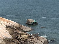 　退潮之後。（圖與文：陳鵬雄）