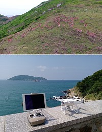 縣府產發處以空拍機精確掌握大坵島梅花鹿族群數量,有助於了解承載量問題以及經營管理策略擬定。(圖:產發處)