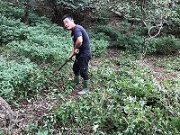 　產發處委外執行大坵島有毒植物珊瑚櫻清除計畫。（圖／文：陳鵬雄）