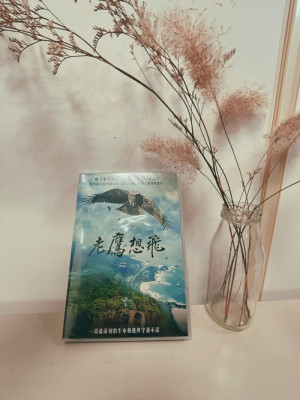 馬祖卡蹓趣粉絲團抽獎活動至6日,贈送粉絲限量《老鷹想飛》DVD。(圖:交旅局)