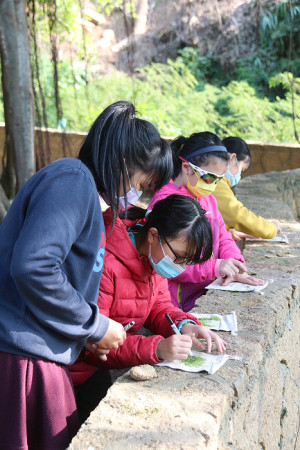 　馬祖家扶邀你一起攀樹趣。（圖：吳嘉榮）