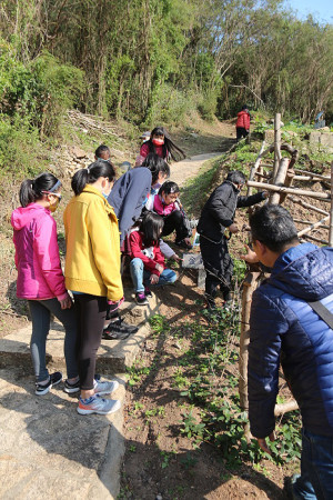 　馬祖家扶邀你一起攀樹趣。（圖：吳嘉榮）