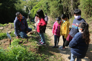 　馬祖家扶邀你一起攀樹趣。（圖：吳嘉榮）