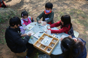 　馬祖家扶邀你一起攀樹趣。（圖：吳嘉榮）