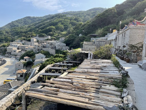 　流木花架。（圖與文：陳鵬雄）