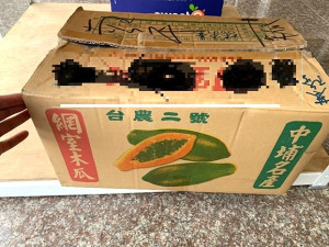 衛福局執行11月份市售生鮮蔬果檢驗,其中2件蔬果(油菜、木瓜)檢驗出殘留農藥超出標準,已令攤商將違規產品下架不得販售。(圖:連江縣衛福局)