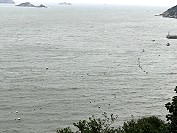 　馬祖淡菜越來越紅，近岸海域養殖前景可期。（圖／文：陳鵬雄）
