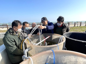 　縣長劉增應陪同海大前校長張清風等人，11日參觀海大馬祖海洋研究中心各項養殖成果。（圖／文：陳鵬雄）