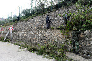 　連江縣111年度年終大掃除22日圓滿落幕，南竿軍民協力冒著低溫及惡劣天候持續努力，主動協助村中髒亂點清理及修剪過長路樹。（圖／文：曹重偉）