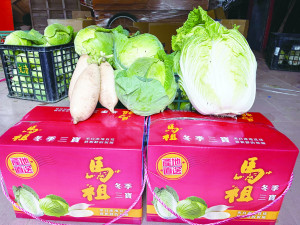 　馬祖冬令三寶蔬菜禮盒上市，今年天氣冷大白菜品質也較往年為佳。（圖／文：陳鵬雄）