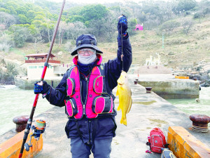 　魚躍碼頭　金光閃閃。（圖：釣客提供）