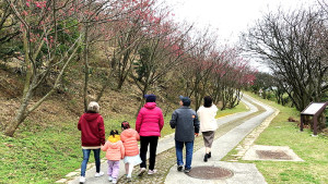 　初四雨暫歇，今年最早開花的勝天公園，當天開始出現賞櫻人潮，欣賞櫻花美麗姿態，感受春天浪漫氣息。（圖／文：曹重偉）