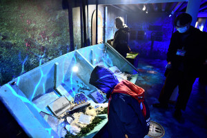 東引水下博物館《蘇布倫號主題特展》開幕,揭開沉睡東引海域120年的秘密。(圖/文:陳其敏)