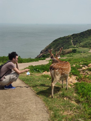 來馬祖旅遊千萬不要錯過大坵,在島上賞、餵鹿及享受充滿閒情逸致的慢活生態之旅,絕對讓人流連忘返。(圖:交旅局)
