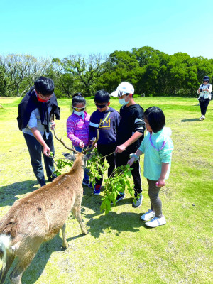 鴻宇海運新彩繪「夏日海洋號」客船4月招待兒童節童遊大坵,10日引領60位小朋友及家長半日海洋及賞鹿行。(圖:鴻宇海運公司提供)