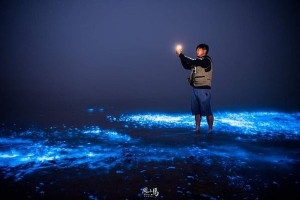 2022馬祖第1場藍眼淚爆發