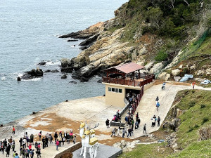 　大坵生態之旅船班多集中上午時段，碼頭公廁前經常出現大排長龍景象。（圖／文：陳鵬雄）