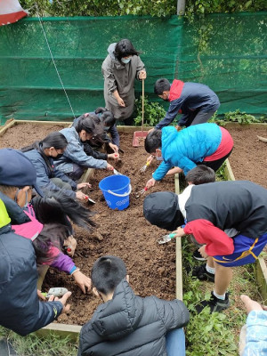 食當季、買在地-農事家政推廣活動透過農事體驗與實際操作,落實食農教育向下扎根。(圖:連江縣農會)
