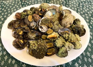 珍饈美饌。(圖與文:陳其敏)