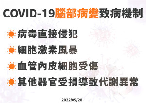 　兒童感染症醫師邱南昌28日表示，分析染疫兒童引起腦炎的4種原因，最主要是免疫系統過度反應引起「細胞激素風暴」。（圖：指揮中心提供）