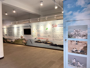　橋仔漁展館一樓燕鷗館今年將增設鐵尖島即時鳥況轉播系統。（圖／文：陳鵬雄）