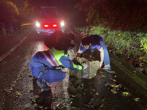 梅石加油站前路段9日傍晚發生大樹傾倒,佔滿路面,消防、警察局、工務處、產發處等協力排除,已恢復正常通行。(圖:連江縣消防局)