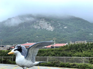 　想飛。（圖／文：陳鵬雄）
