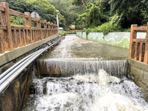 　南竿勝利水庫上游1-4號攔砂壩滿水溢流，水勢沿著下腰山溝渠經截流系統流向水庫。（圖：馬祖日報）