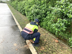近日滯留鋒發威,雨勢不斷,南警所警員陳志華、鄭亦伶巡經勝天公園附近,發現沿路多有落石,積極搬移擋石避免交通事故。(圖:連江縣警察局)