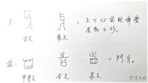 ▲牙、齒的古文字結構圖。