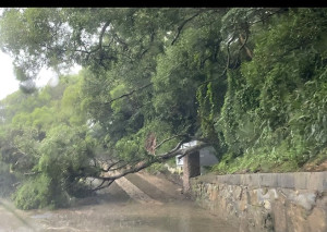 連日雨勢,東莒驚傳多處路樹倒塌與土石坍崩。(圖/文:蔡夢玲)