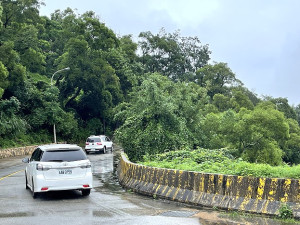 　午沙圓環往塘岐及短坡山彎道外側路樹阻擋行車視線，駕駛朋友建議要修剪降高度。（圖／文：陳鵬雄）
