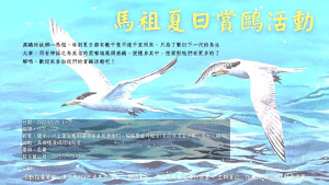 台北鳥會25日辦理夏日賞鷗活動,歡迎報名參加。(圖:台北鳥會)