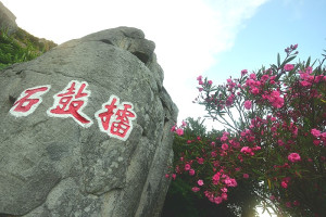 東引燈塔入口處夾竹桃花絢爛嬌艷,與「擂鼓石」相互輝映。(圖/文:陳其敏)