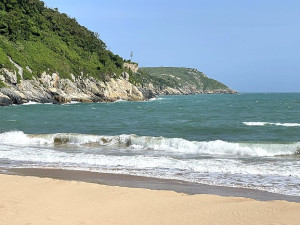 遲來的夏至南。（圖與文：陳鵬雄）