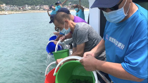 　財團法人臺灣海洋保育與漁業永續基金會27日在北竿海域放流5千尾條紋石鯛魚苗，透過魚苗放流，增殖地區海洋生態。（圖／文：馮紹夫）