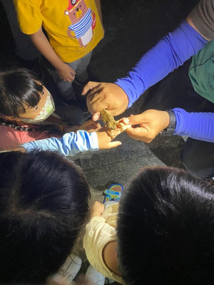 兩棲爬行動物生態導覽。（圖：產發處、吳嘉榮）