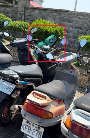 　北竿地區今年報案捉蛇捕蜂案件較往年同期減少。（圖：北竿消防隊提供）