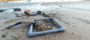 南竿環境教育學堂19日至21日推出向海致敬-海洋環境教育課程,歡迎預約報名。(圖:馬管處)